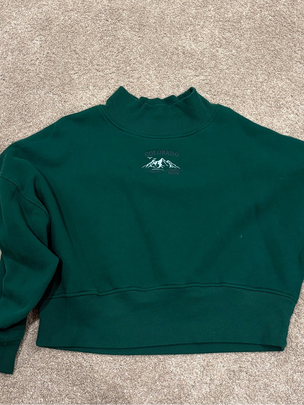 wild fable Forest Green Cropped Mock Neck Sweatshirt